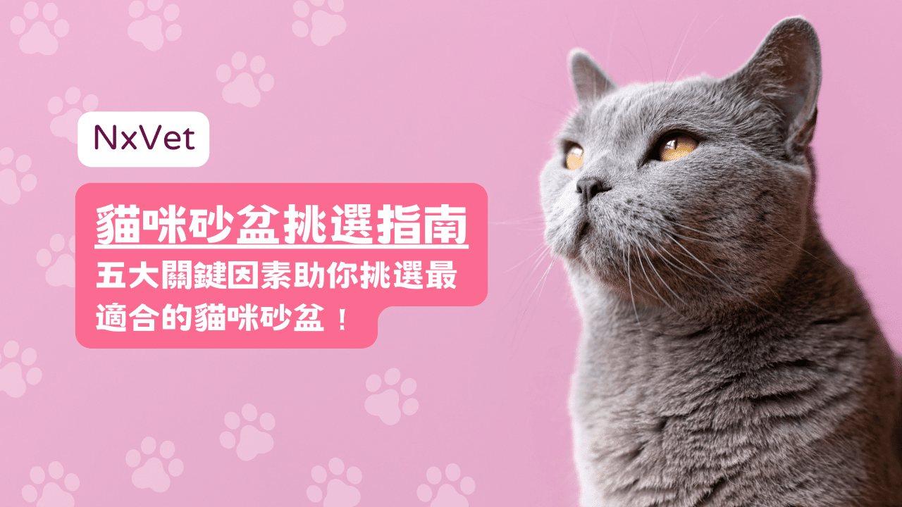 貓咪砂盆挑選指南 - 五大關鍵因素助你挑選最適合的貓咪砂盆！
