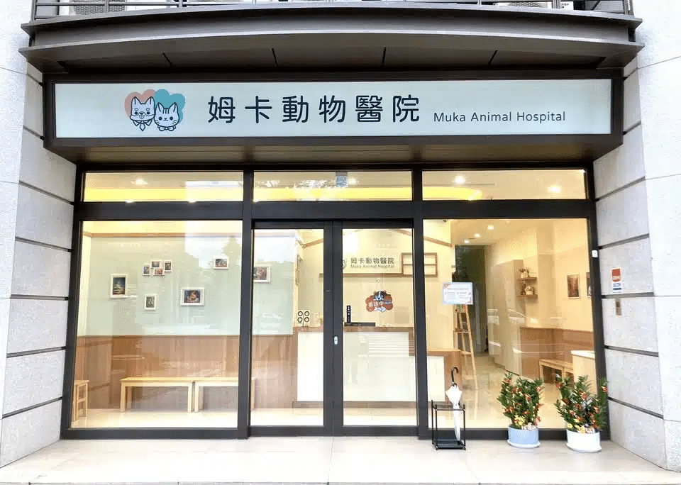 中壢動物醫院推薦_姆卡動物醫院