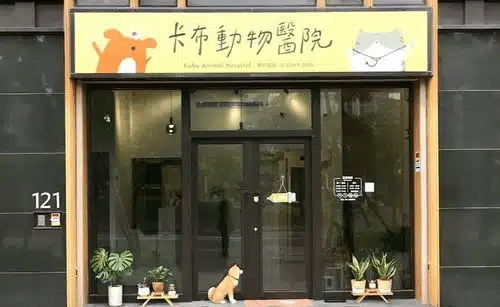 桃園動物醫院推薦_卡布動物醫院