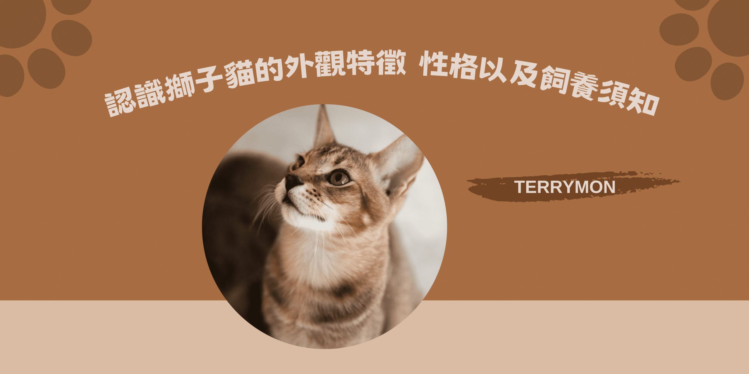 Linqing Lion Cat
