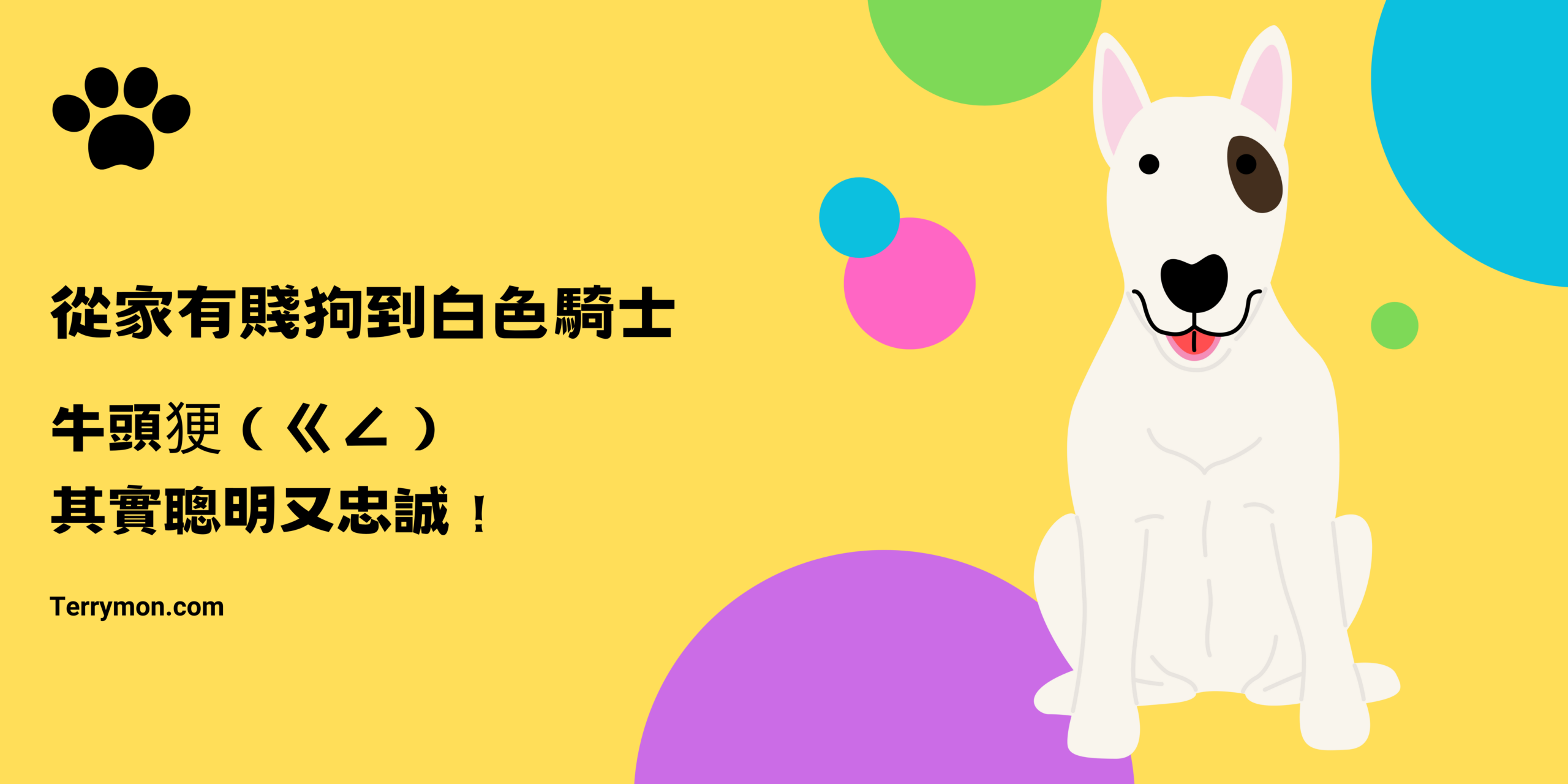 Yellow Minimalist Pet Shop Site Banner