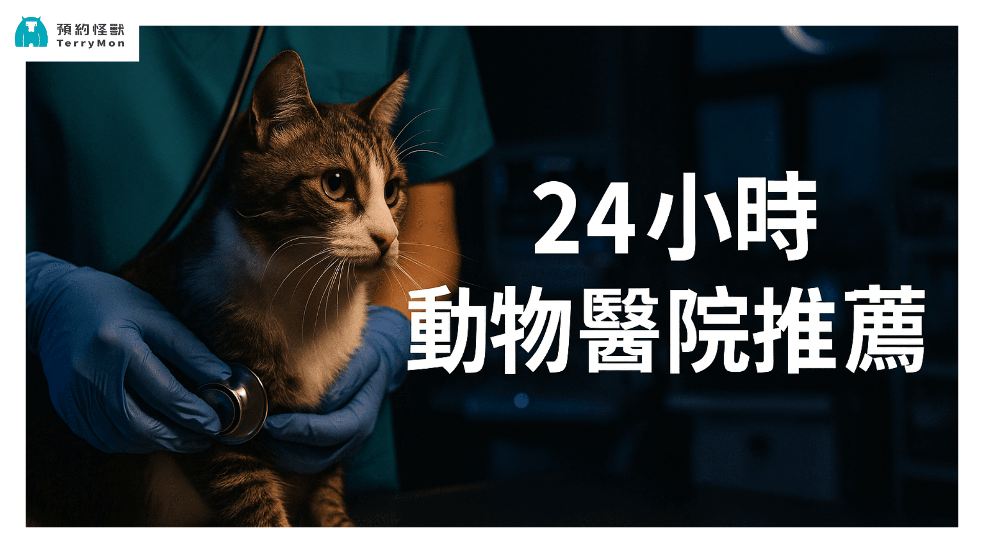 24 小時動物醫院推薦首圖