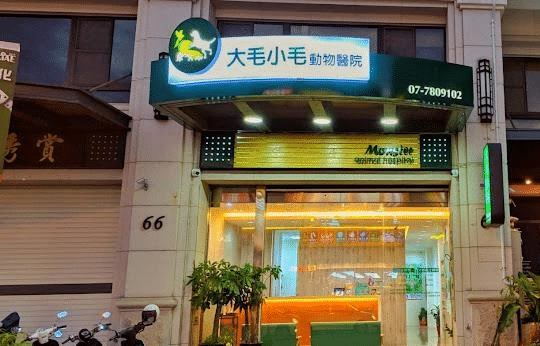 高雄動物醫院推薦 ：大毛小毛動物醫院