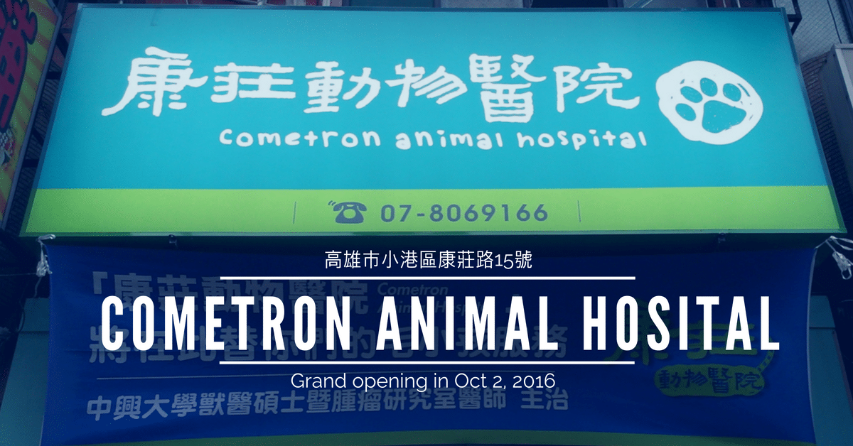 高雄動物醫院推薦：康莊動物醫院