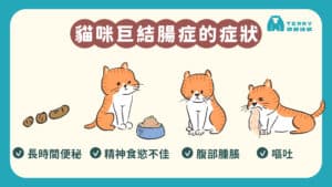 巨結腸