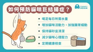 巨結腸