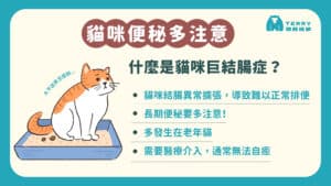 巨結腸