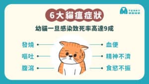 貓瘟