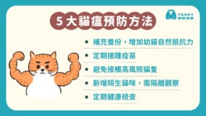 貓瘟