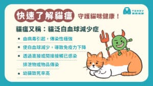 貓瘟