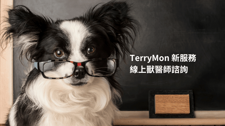 TerryMon 獸醫師諮詢