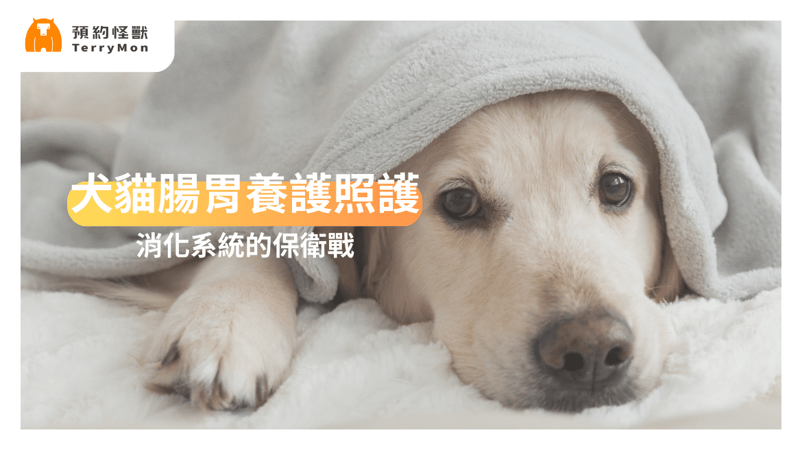 犬貓腸胃養護