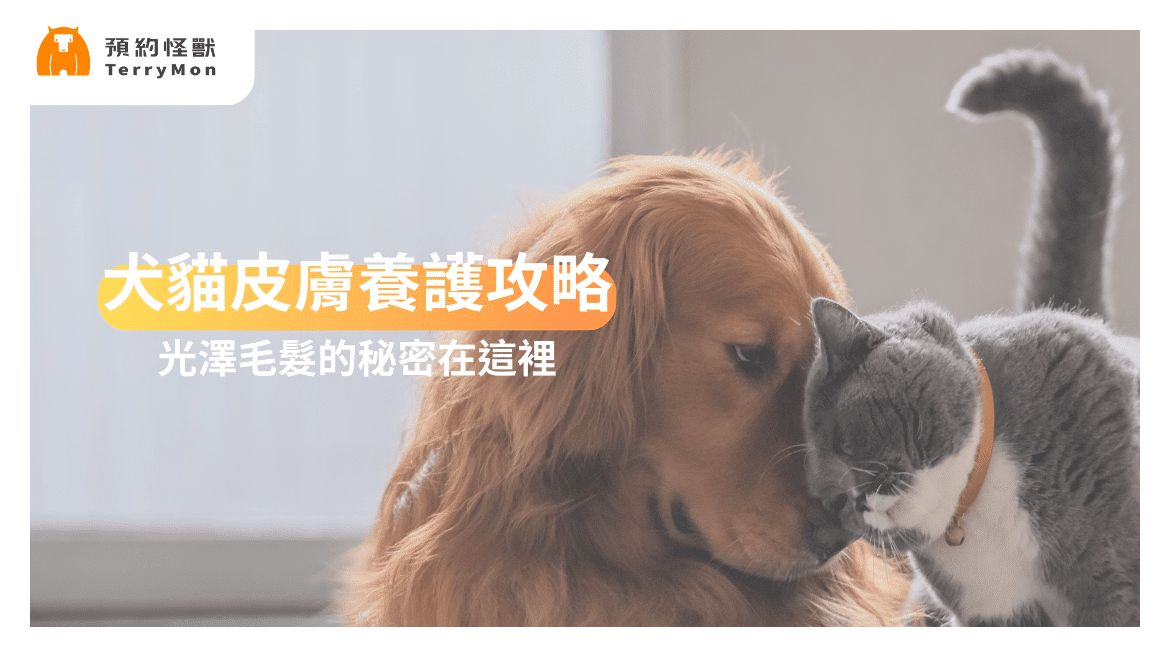 犬貓皮膚養護