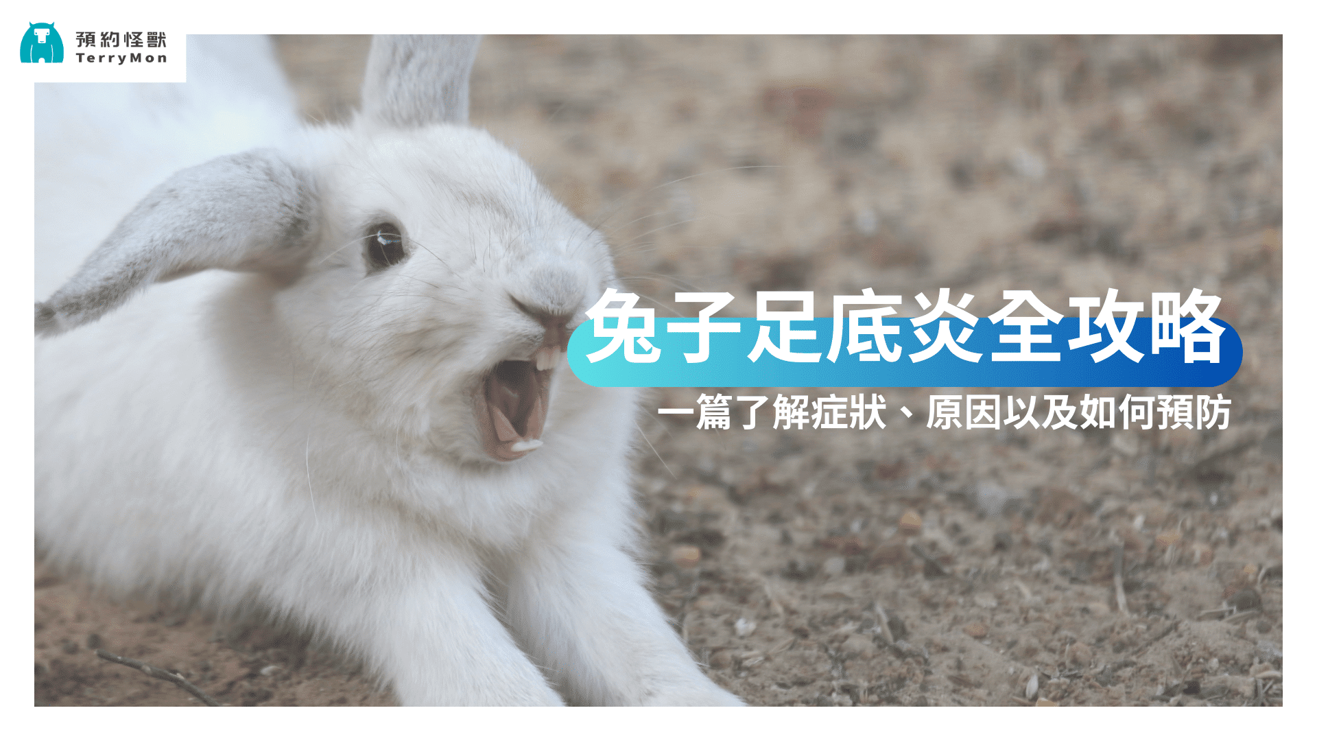 兔子足底炎