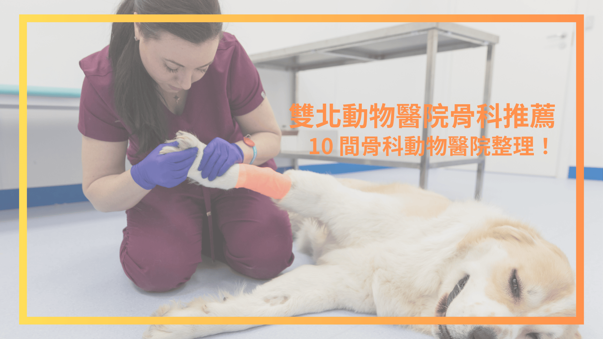 雙北動物醫院骨科推薦
