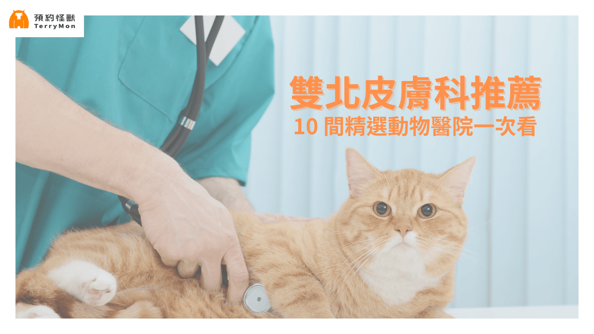 雙北皮膚科推薦