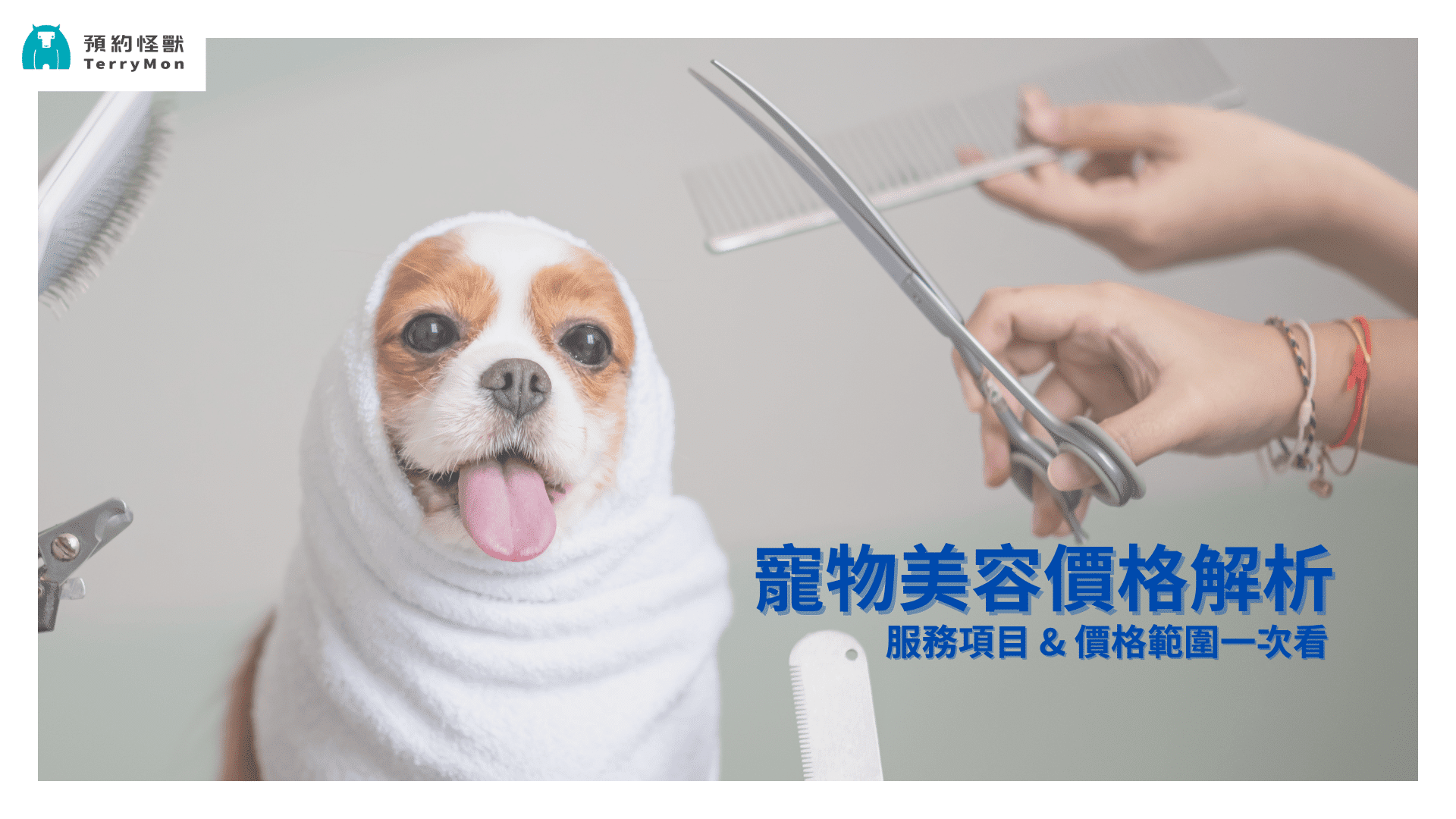 寵物美容價格解析