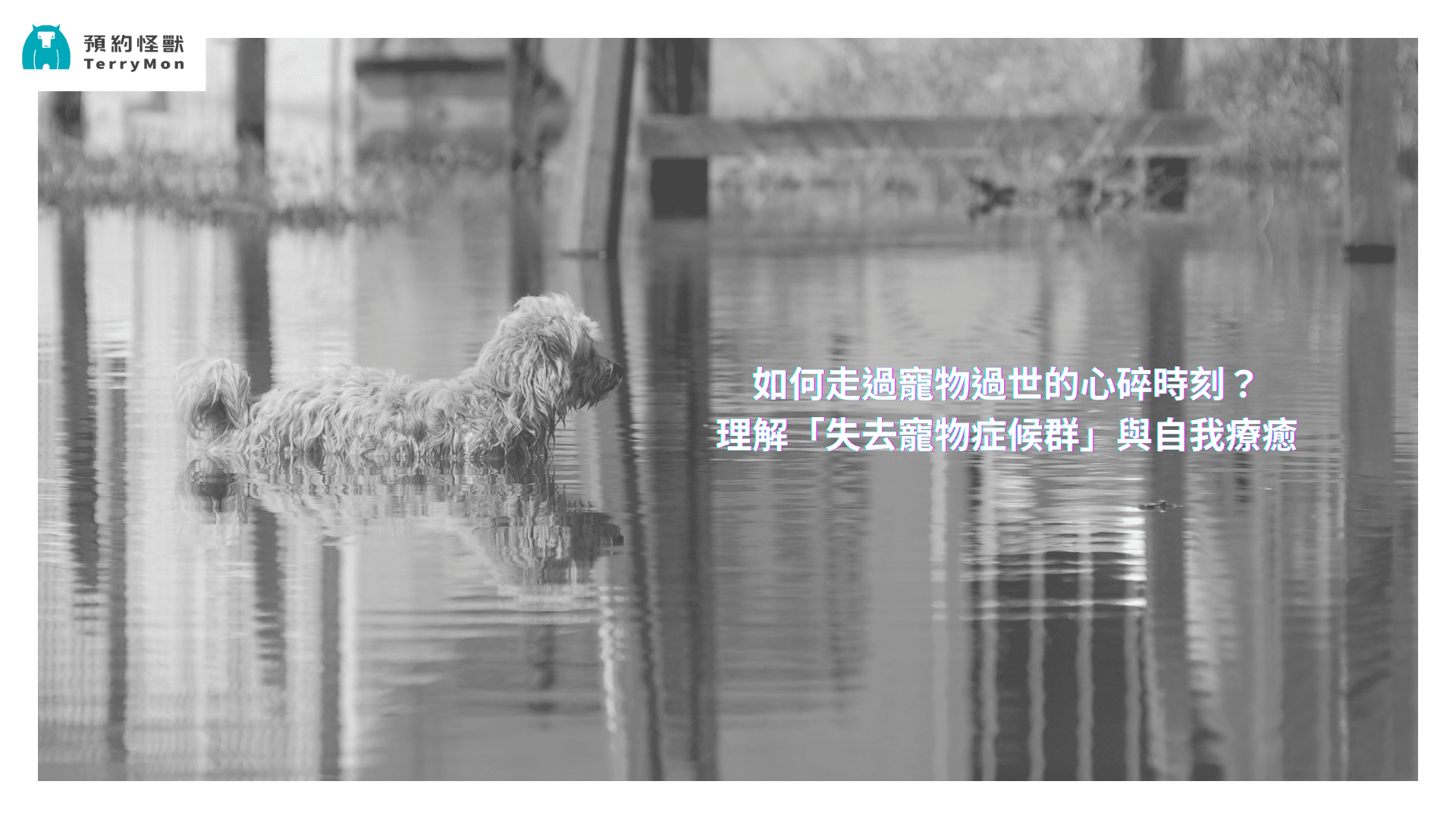 失去寵物症候群