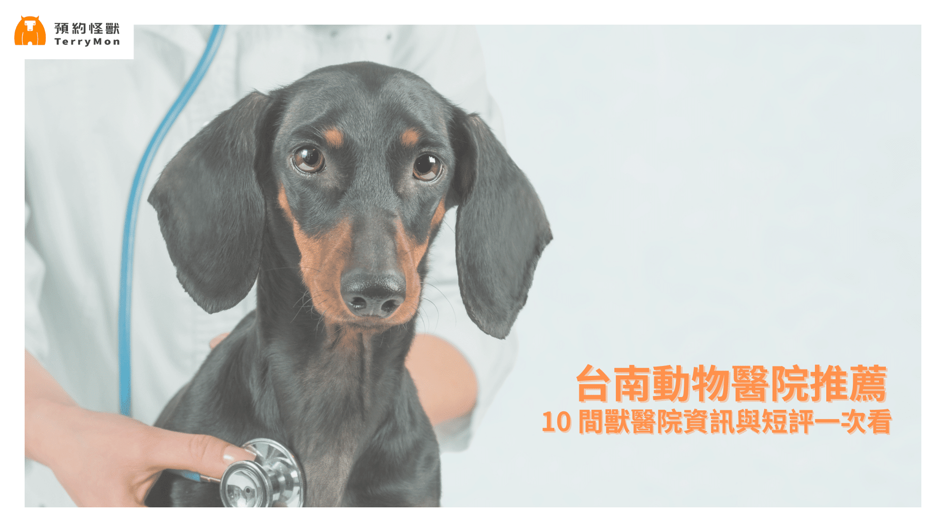 台南動物醫院推薦
