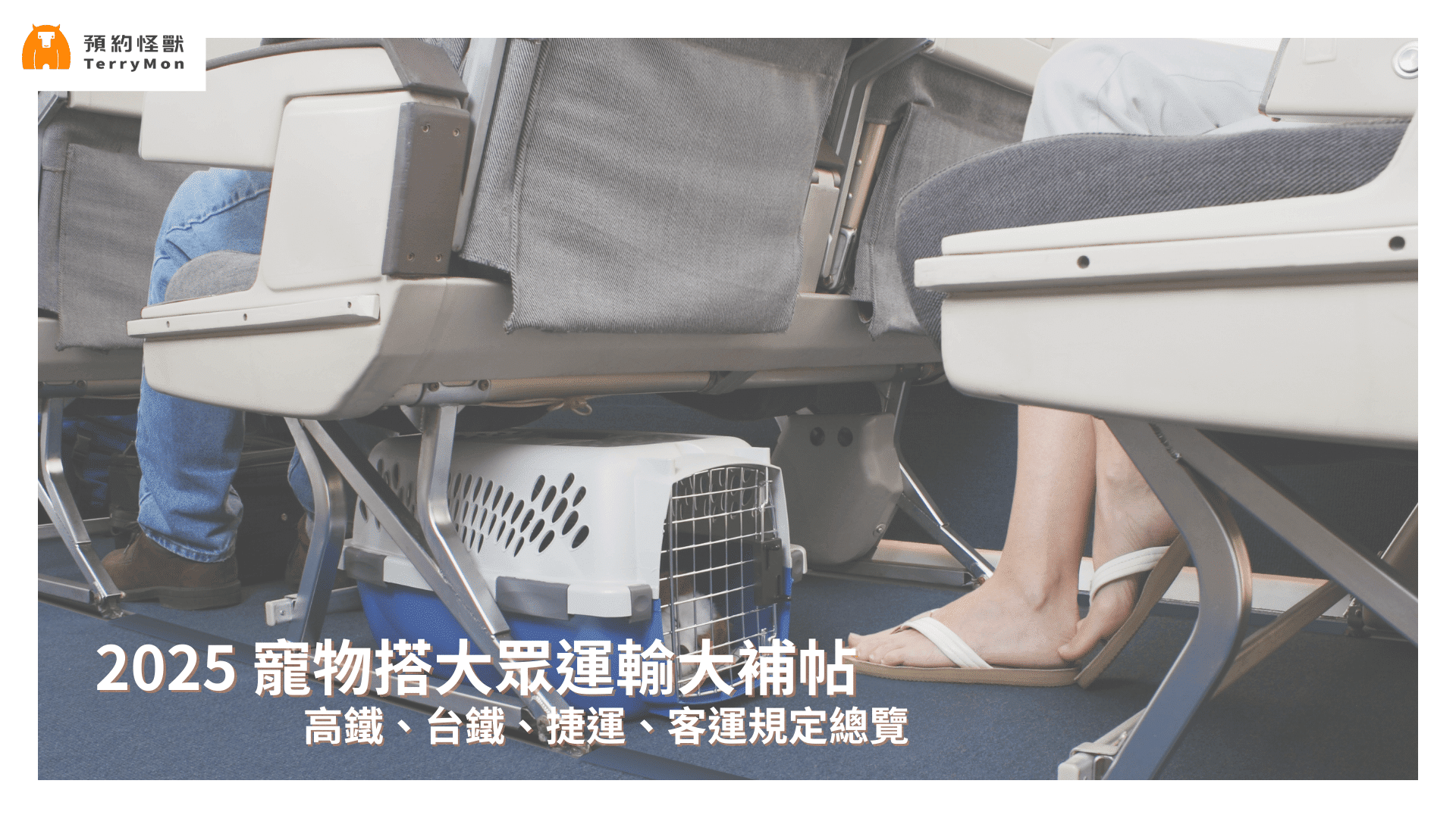 寵物大眾運輸