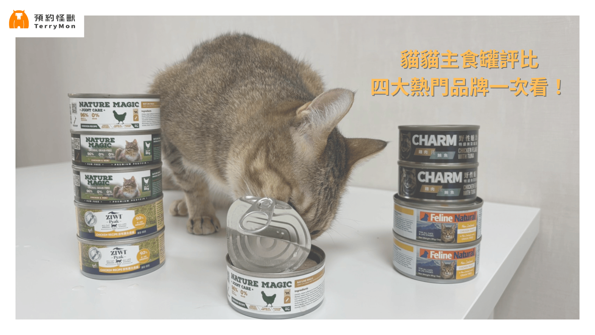 2025 貓咪主食罐推薦 | 4 大熱門品牌主食罐評比