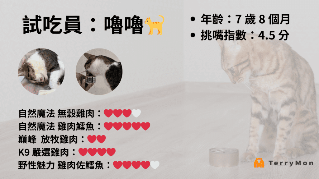 貓咪主食罐試吃報告：嚕嚕