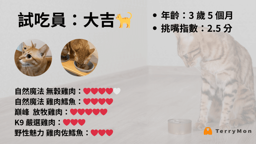 貓咪主食罐試吃報告：大吉