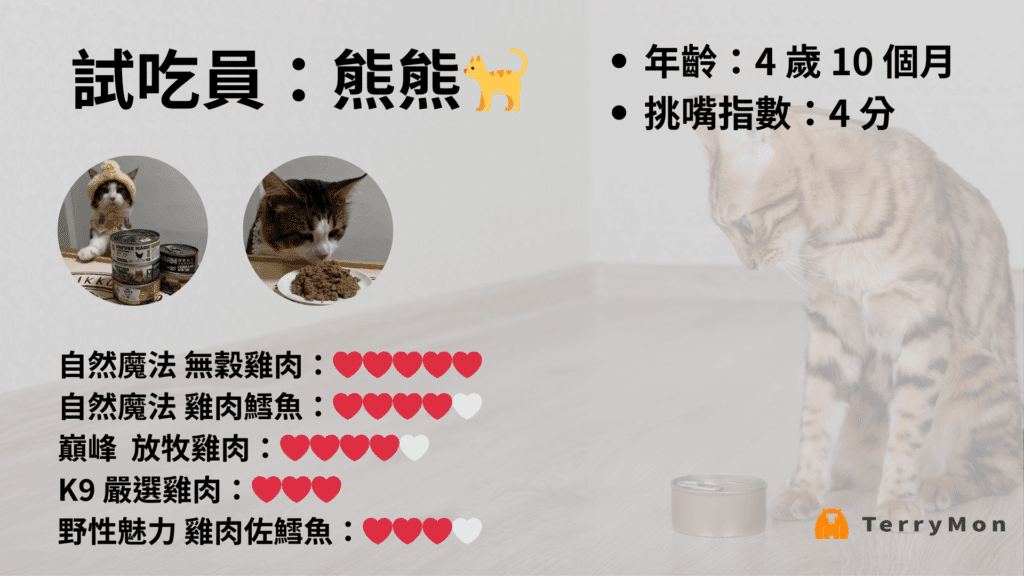 貓咪主食罐試吃報告：熊熊