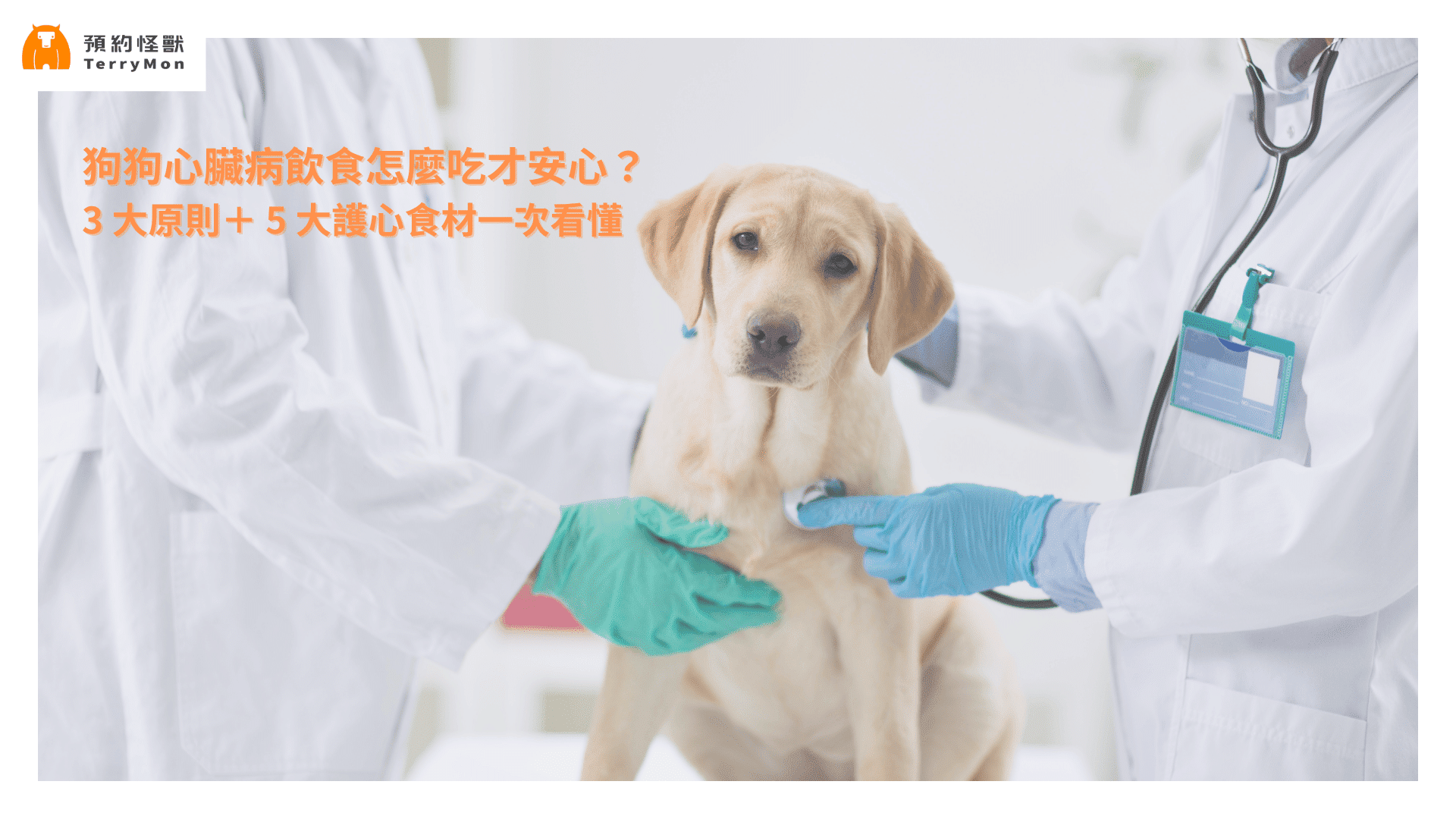 狗狗心臟病飲食需掌握3大原則及5大護心食材