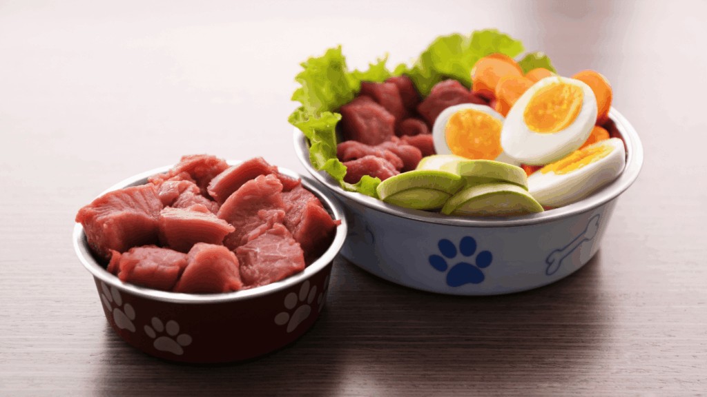 狗狗心臟病肥大飲食指南：4 道狗狗心臟病鮮食食譜一次看